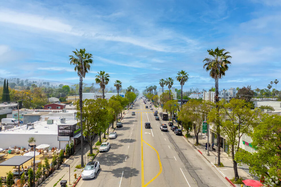 Palm-lined street in Sherman Oaks, California