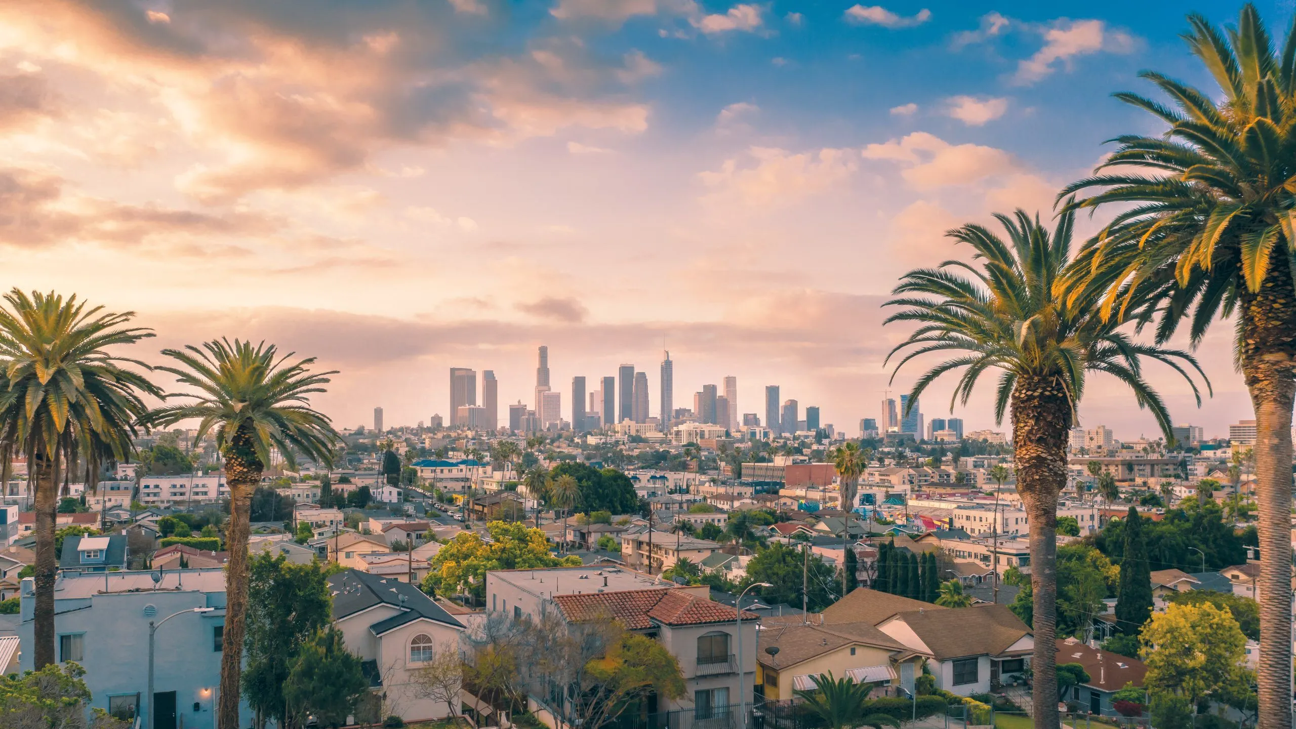Los Angeles skyline at sunset with palm trees